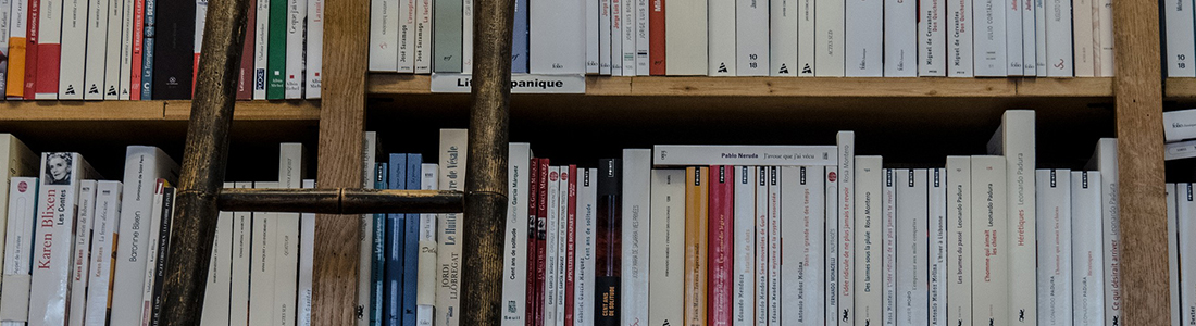 Consiglio 2 Libro  “Come chiamerei un libro”